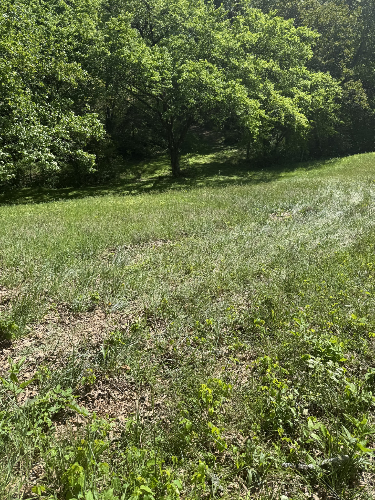 540 Powell Hollow Road Tullahoma TN 37388