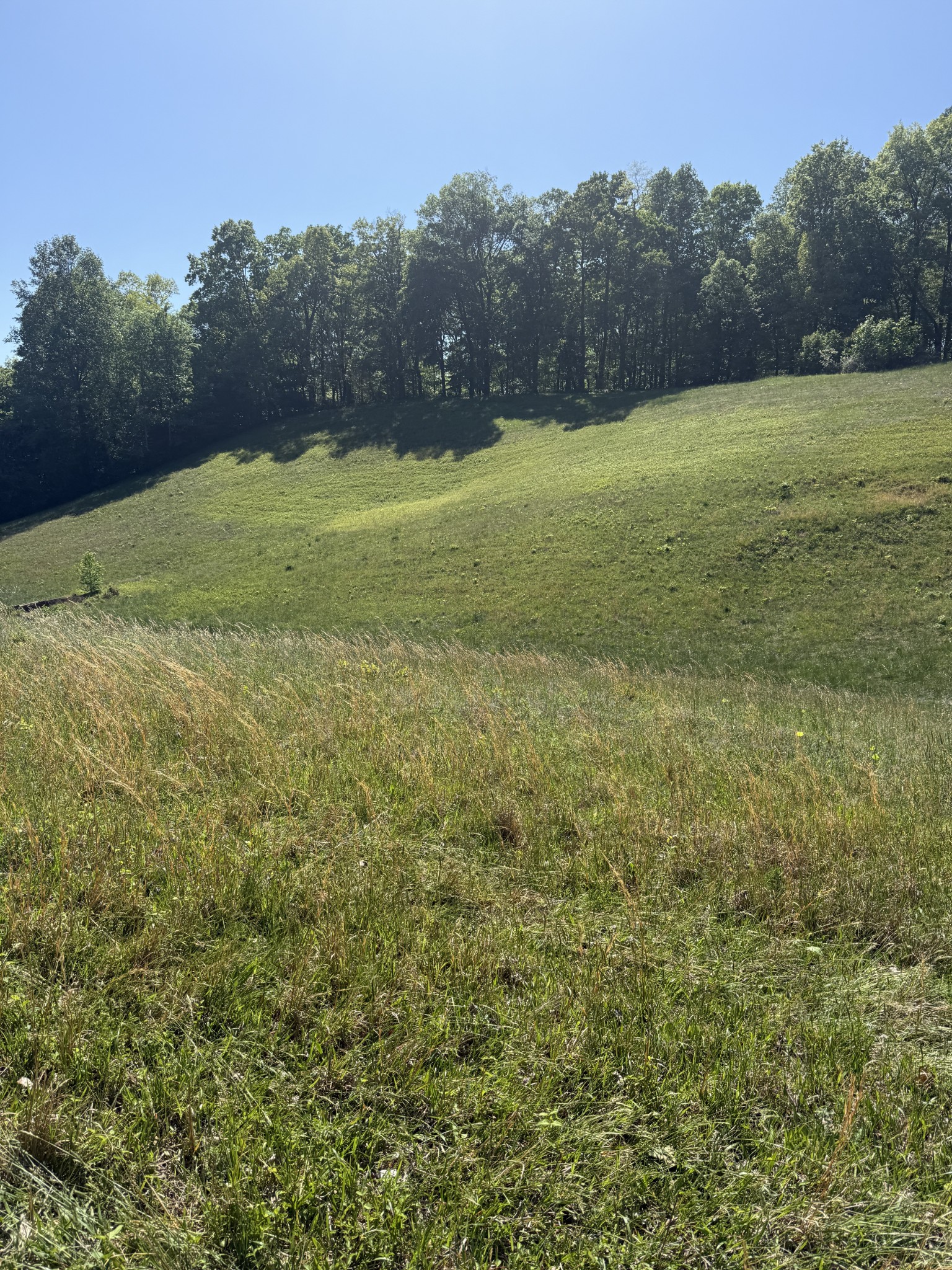 540 Powell Hollow Road Tullahoma TN 37388