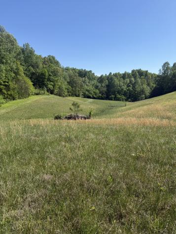 540 Powell Hollow Road Tullahoma TN 37388