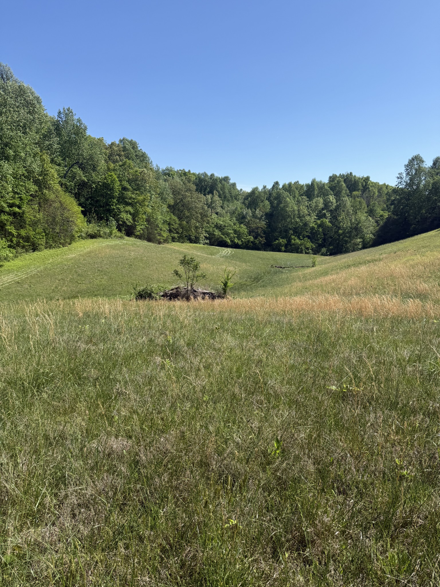 540 Powell Hollow Road Tullahoma TN 37388