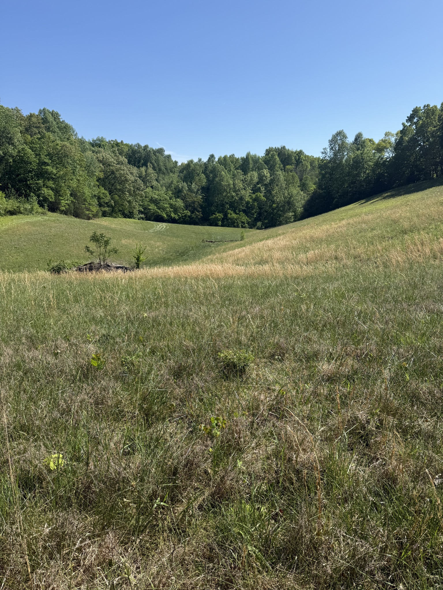 540 Powell Hollow Road Tullahoma TN 37388