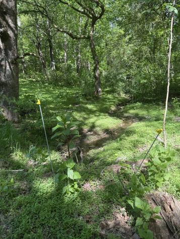 540 Powell Hollow Road Tullahoma TN 37388