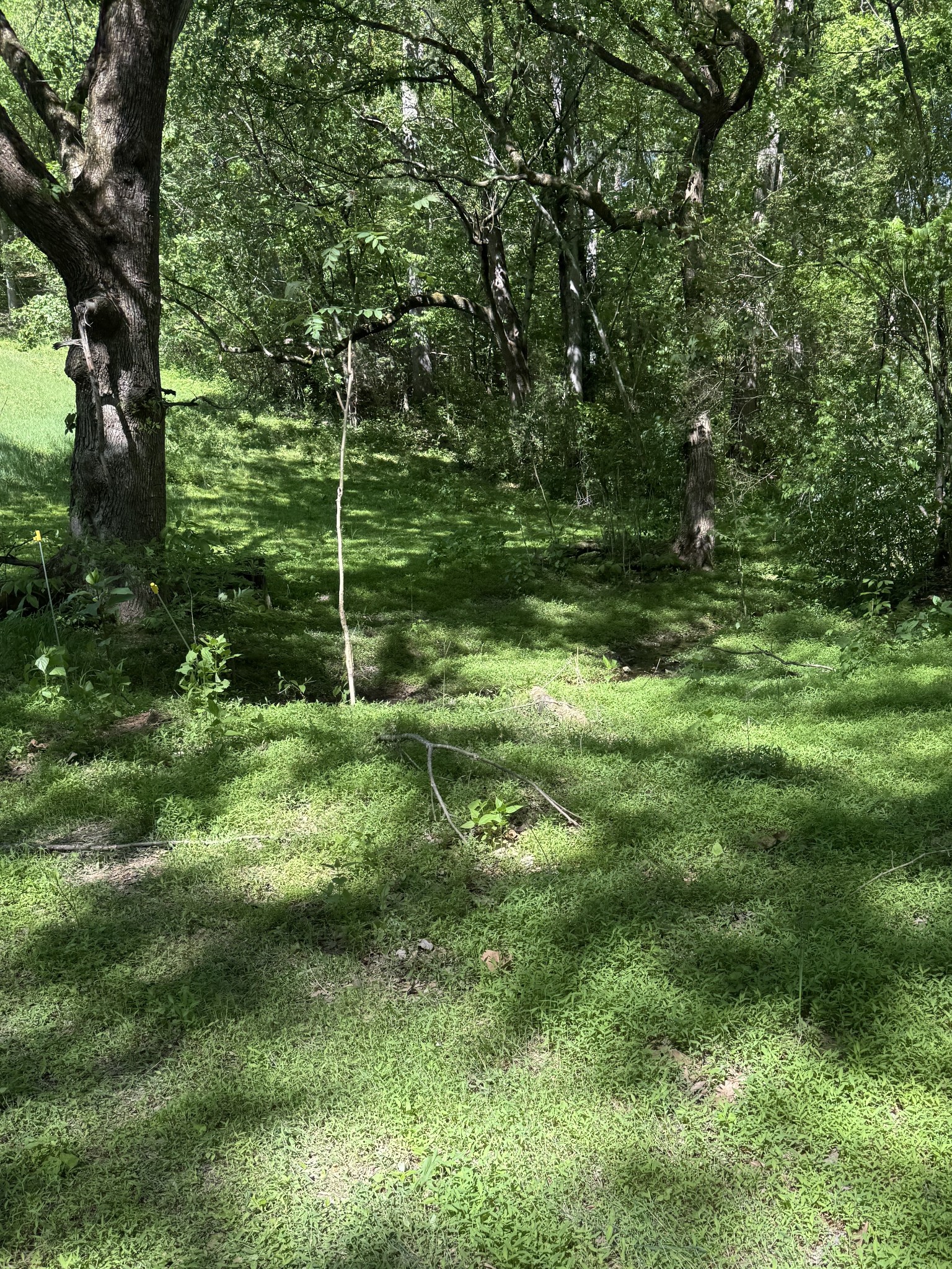 540 Powell Hollow Road Tullahoma TN 37388
