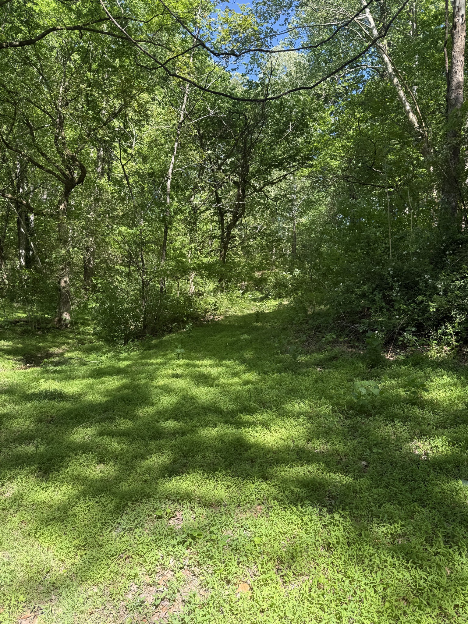540 Powell Hollow Road Tullahoma TN 37388
