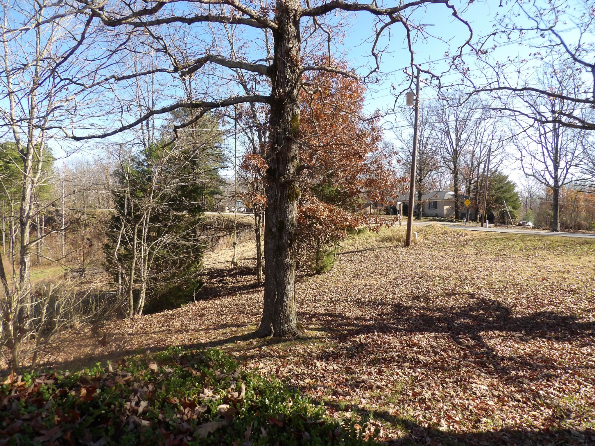 366 Powers Boulevard Waverly TN 37185