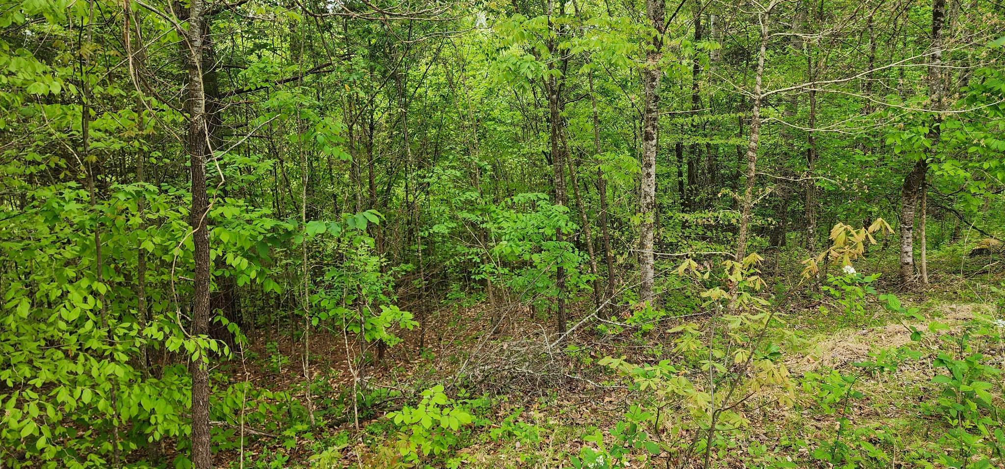 0 Jefferson Road Smithville TN 37166