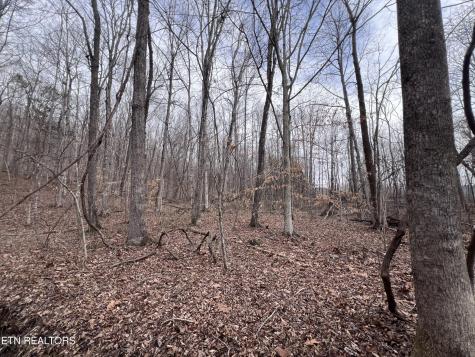 0 Buffalo Cove Lane Jamestown TN 38556