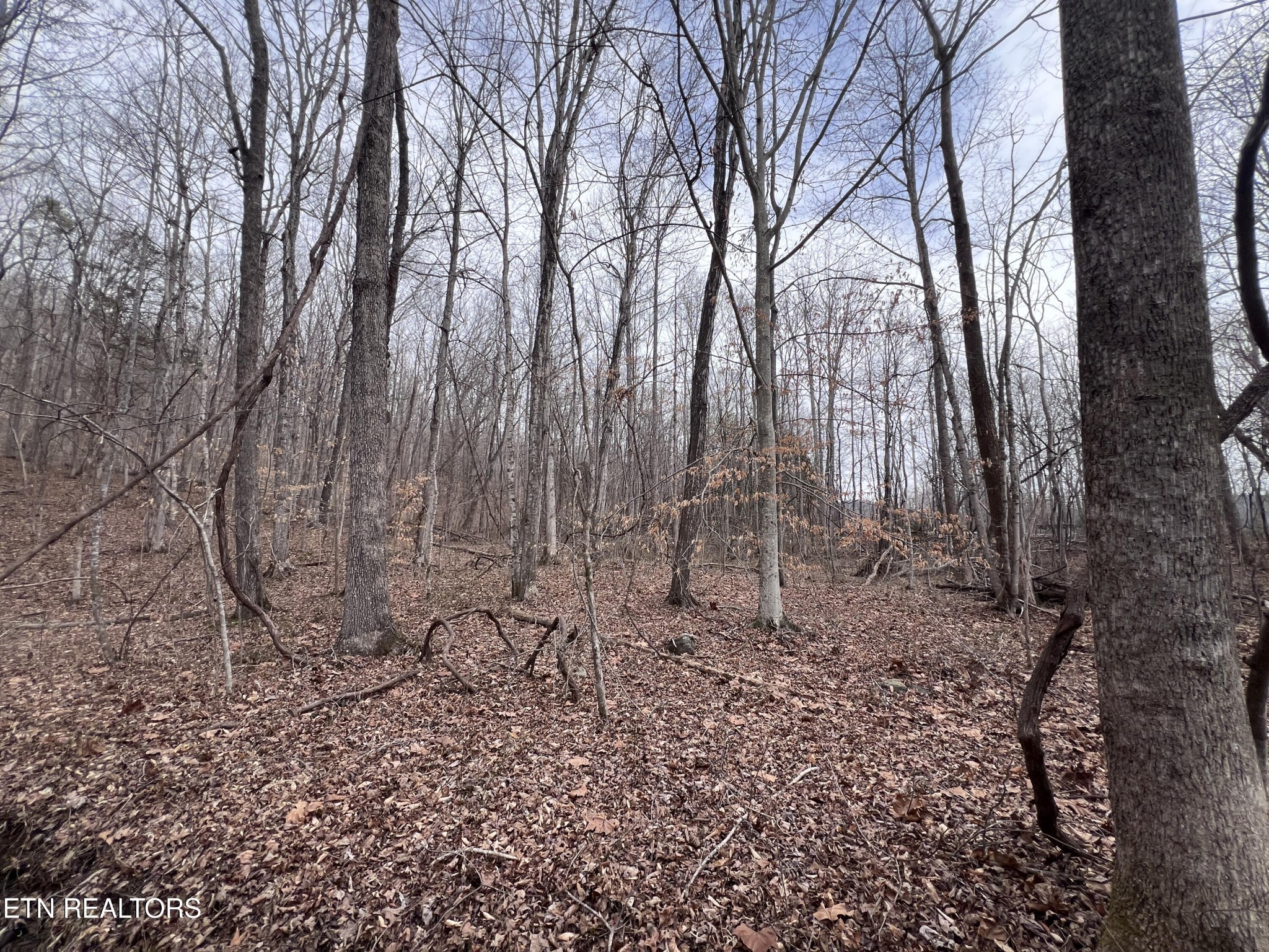 0 Buffalo Cove Lane Jamestown TN 38556