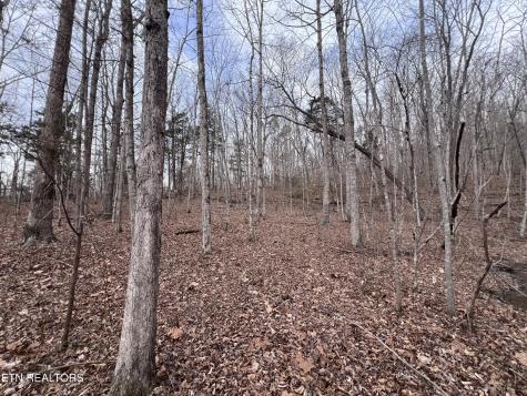 0 Buffalo Cove Lane Jamestown TN 38556