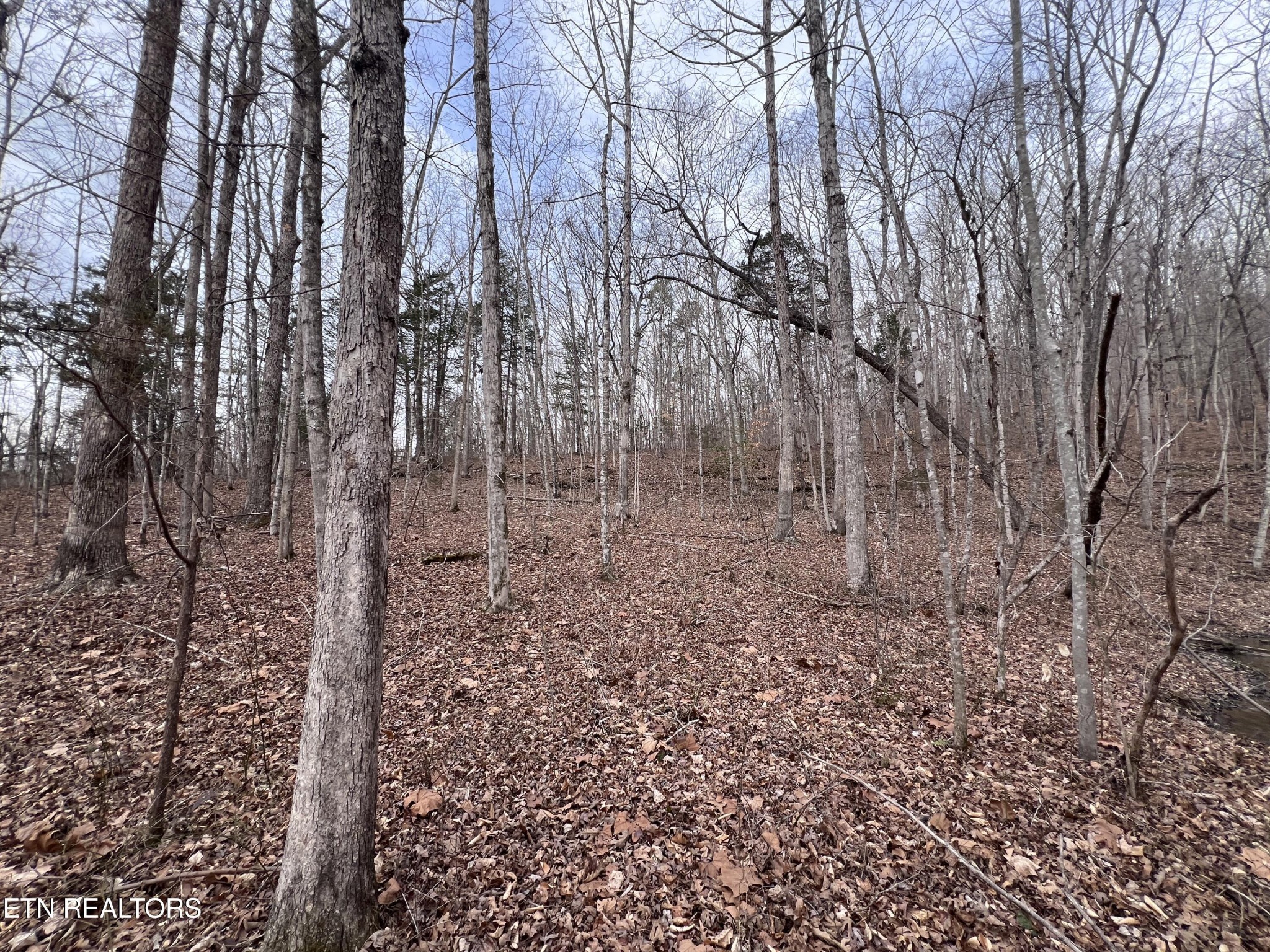 0 Buffalo Cove Lane Jamestown TN 38556