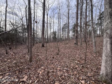 0 Buffalo Cove Lane Jamestown TN 38556