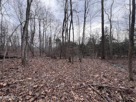 0 Buffalo Cove Lane Jamestown TN 38556