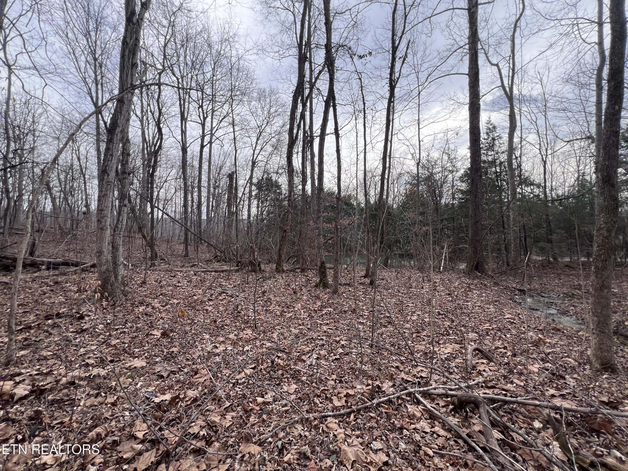 0 Buffalo Cove Lane Jamestown TN 38556