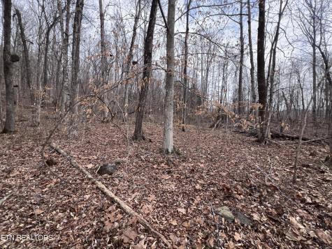 0 Buffalo Cove Lane Jamestown TN 38556