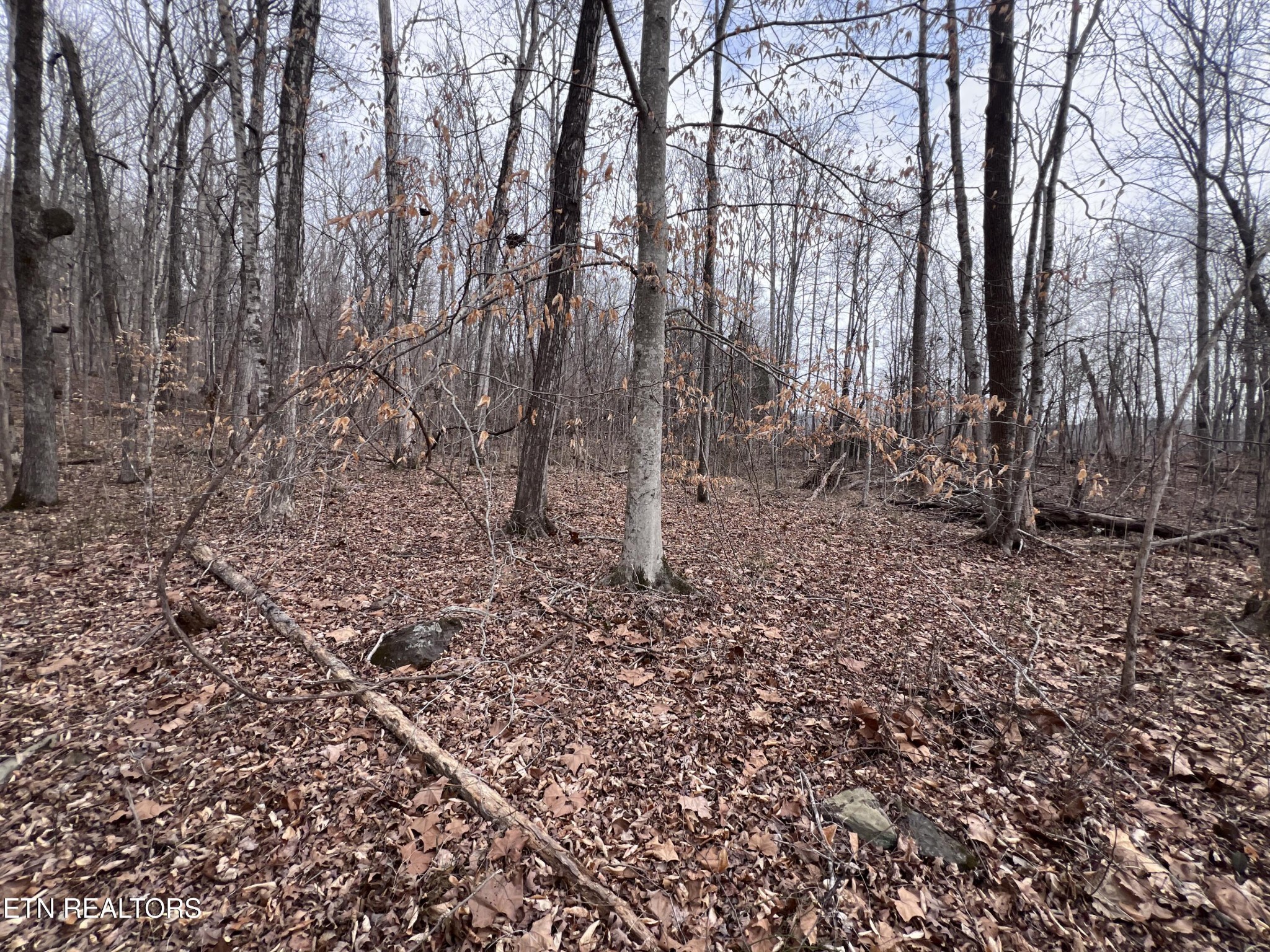 0 Buffalo Cove Lane Jamestown TN 38556