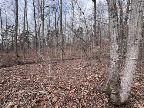 0 Buffalo Cove Lane Jamestown TN 38556