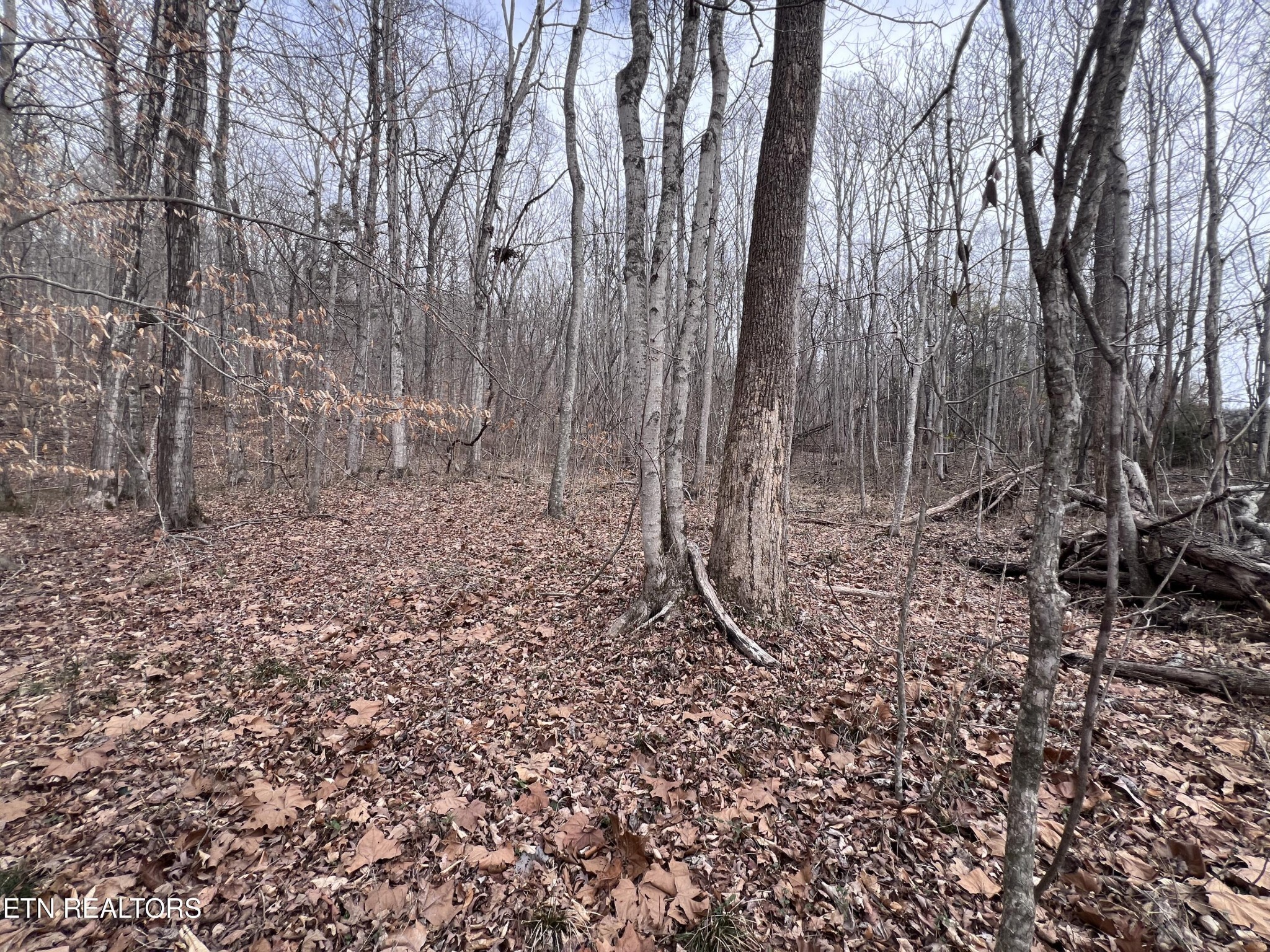 0 Buffalo Cove Lane Jamestown TN 38556