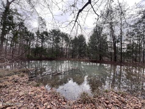 0 Buffalo Cove Lane Jamestown TN 38556