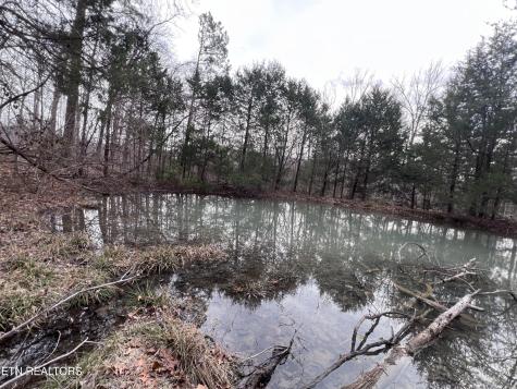 0 Buffalo Cove Lane Jamestown TN 38556