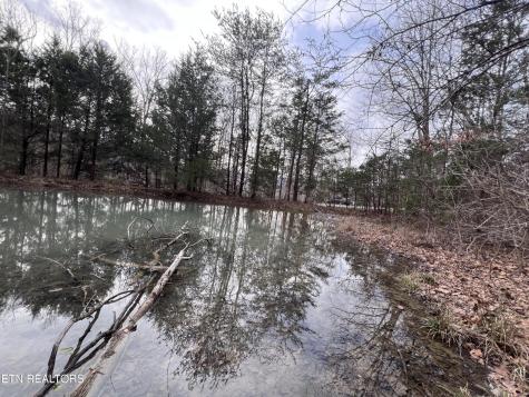 0 Buffalo Cove Lane Jamestown TN 38556