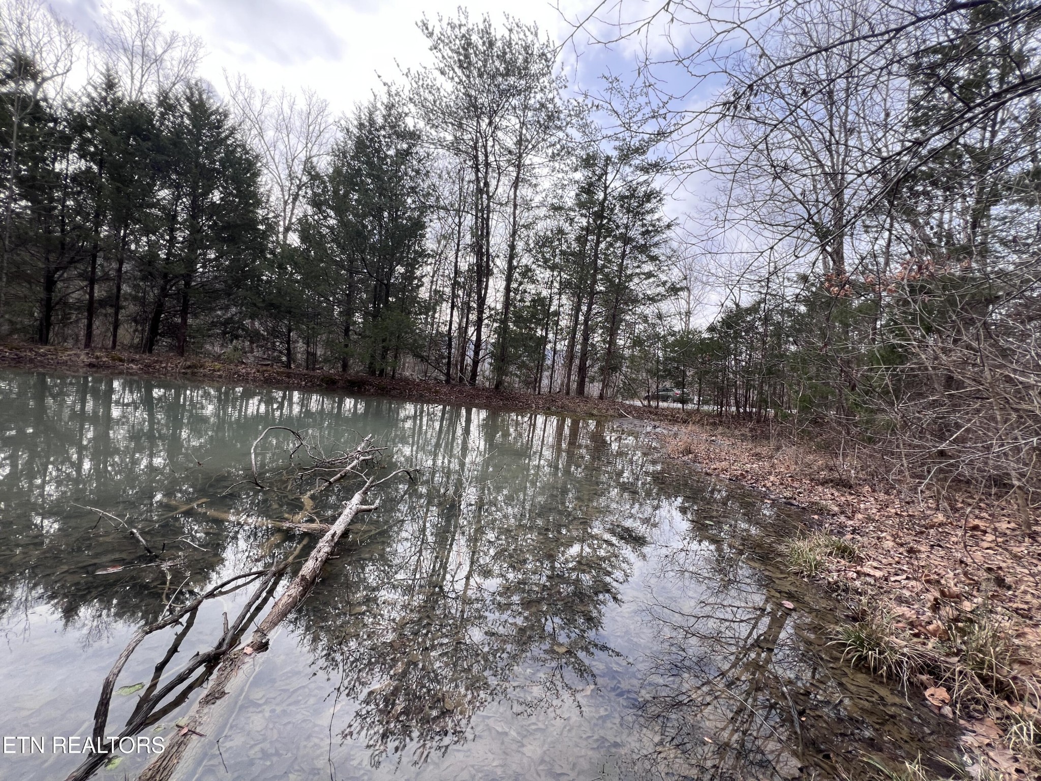 0 Buffalo Cove Lane Jamestown TN 38556