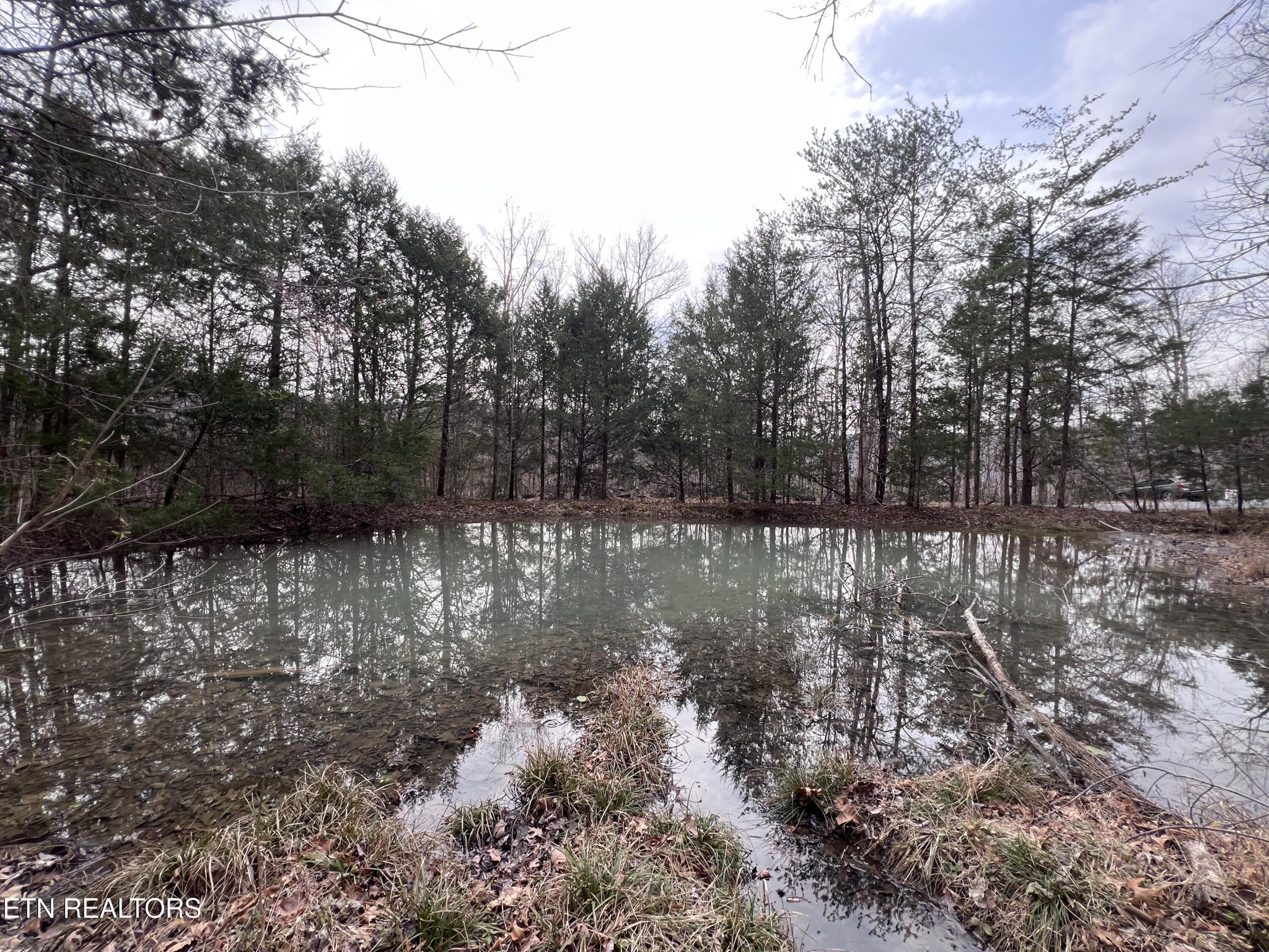 0 Buffalo Cove Lane Jamestown TN 38556