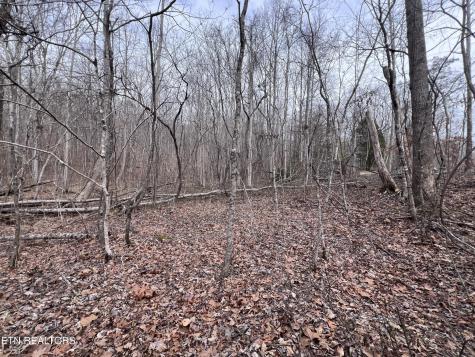 0 Buffalo Cove Lane Jamestown TN 38556
