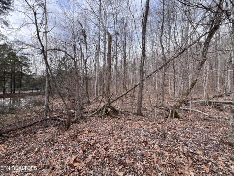0 Buffalo Cove Lane Jamestown TN 38556