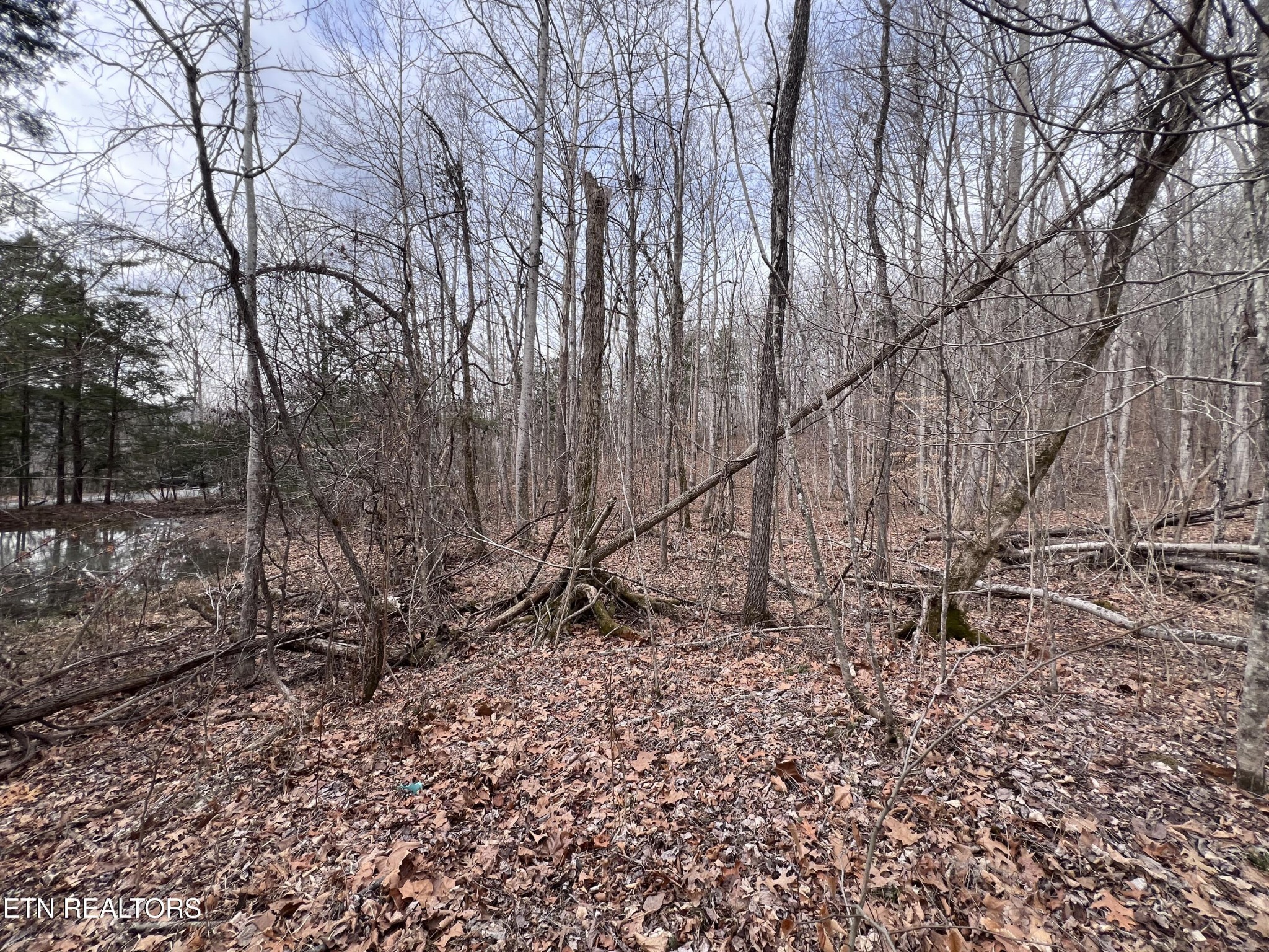 0 Buffalo Cove Lane Jamestown TN 38556
