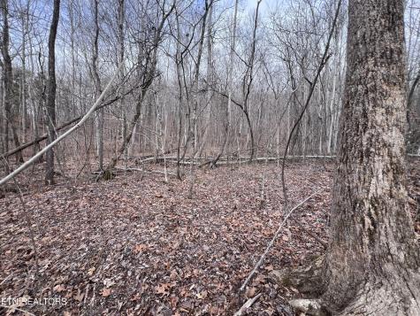 0 Buffalo Cove Lane Jamestown TN 38556