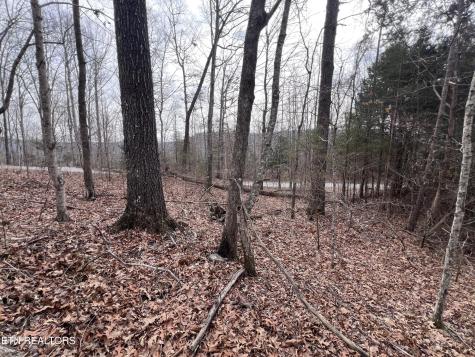 0 Buffalo Cove Lane Jamestown TN 38556
