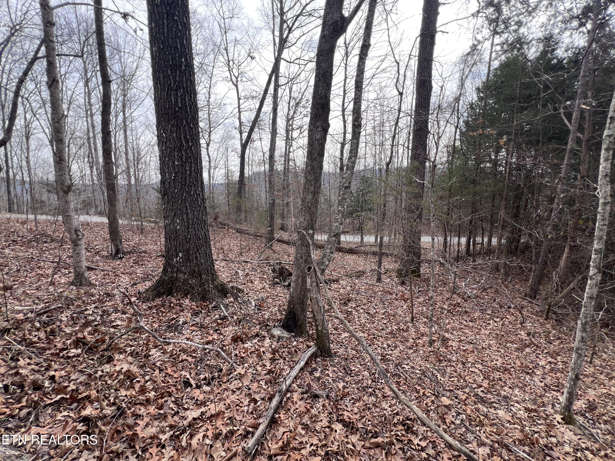 0 Buffalo Cove Lane Jamestown TN 38556