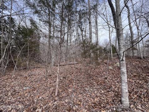 0 Buffalo Cove Lane Jamestown TN 38556