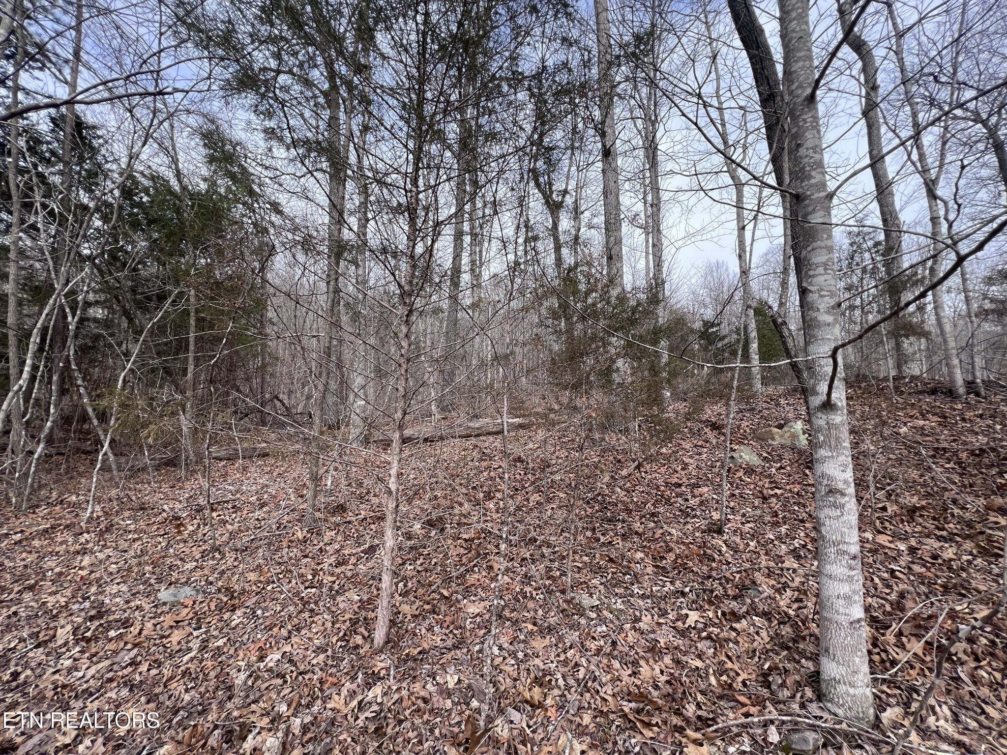 0 Buffalo Cove Lane Jamestown TN 38556