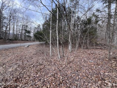 0 Buffalo Cove Lane Jamestown TN 38556