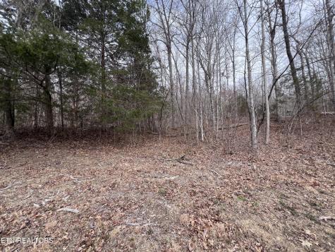 0 Buffalo Cove Lane Jamestown TN 38556
