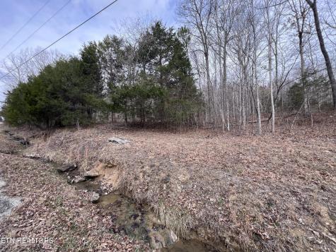 0 Buffalo Cove Lane Jamestown TN 38556