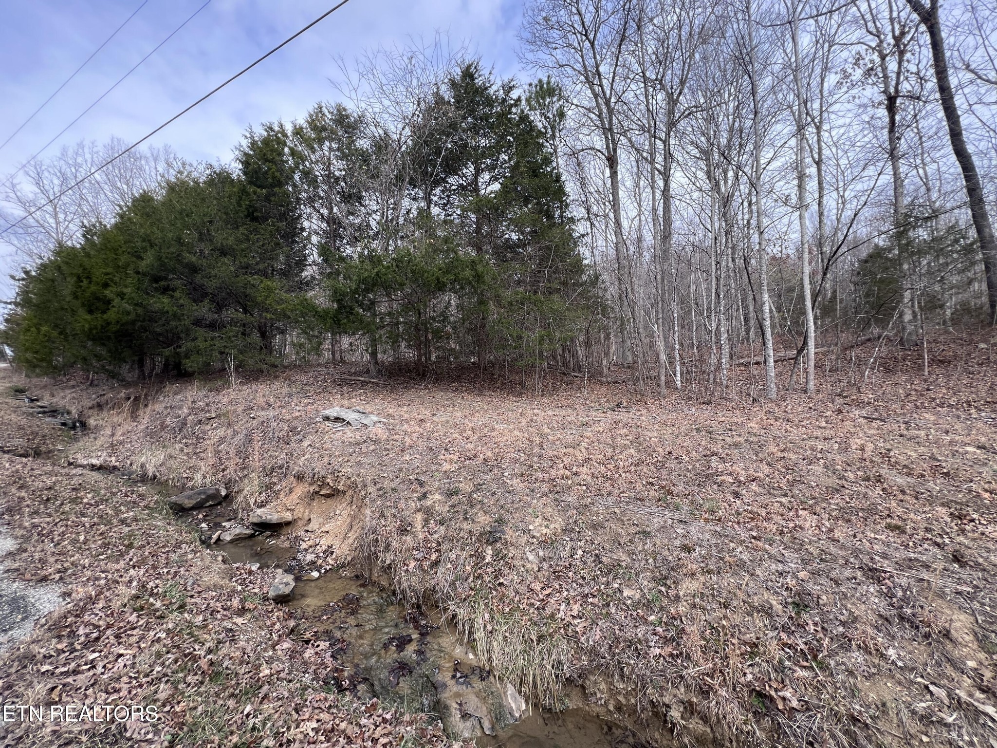 0 Buffalo Cove Lane Jamestown TN 38556