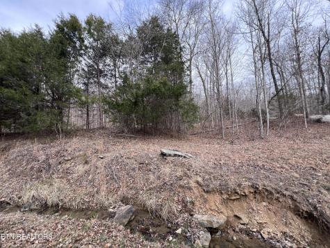0 Buffalo Cove Lane Jamestown TN 38556