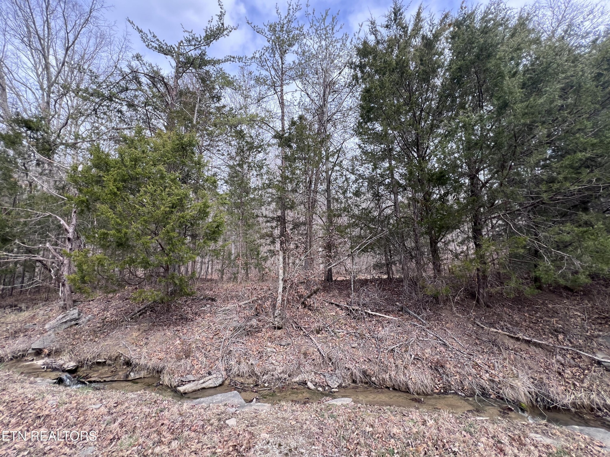 0 Buffalo Cove Lane Jamestown TN 38556