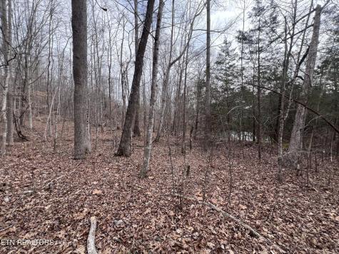 0 Buffalo Cove Lane Jamestown TN 38556