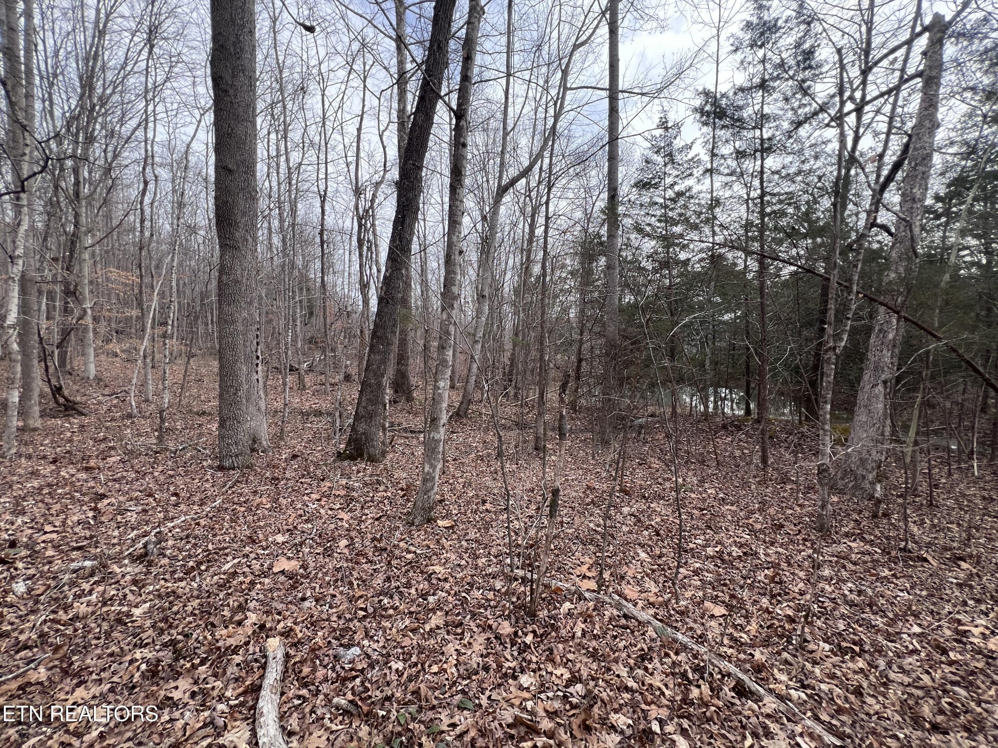 0 Buffalo Cove Lane Jamestown TN 38556