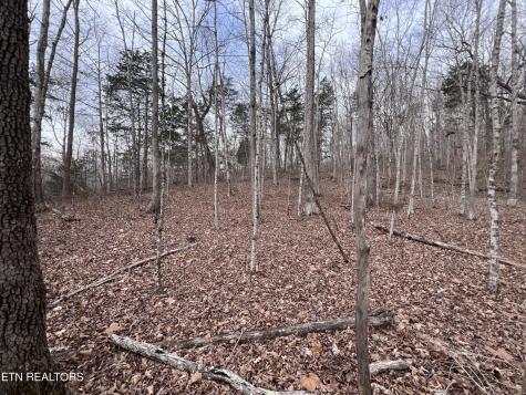 0 Buffalo Cove Lane Jamestown TN 38556