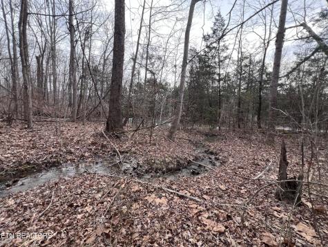 0 Buffalo Cove Lane Jamestown TN 38556