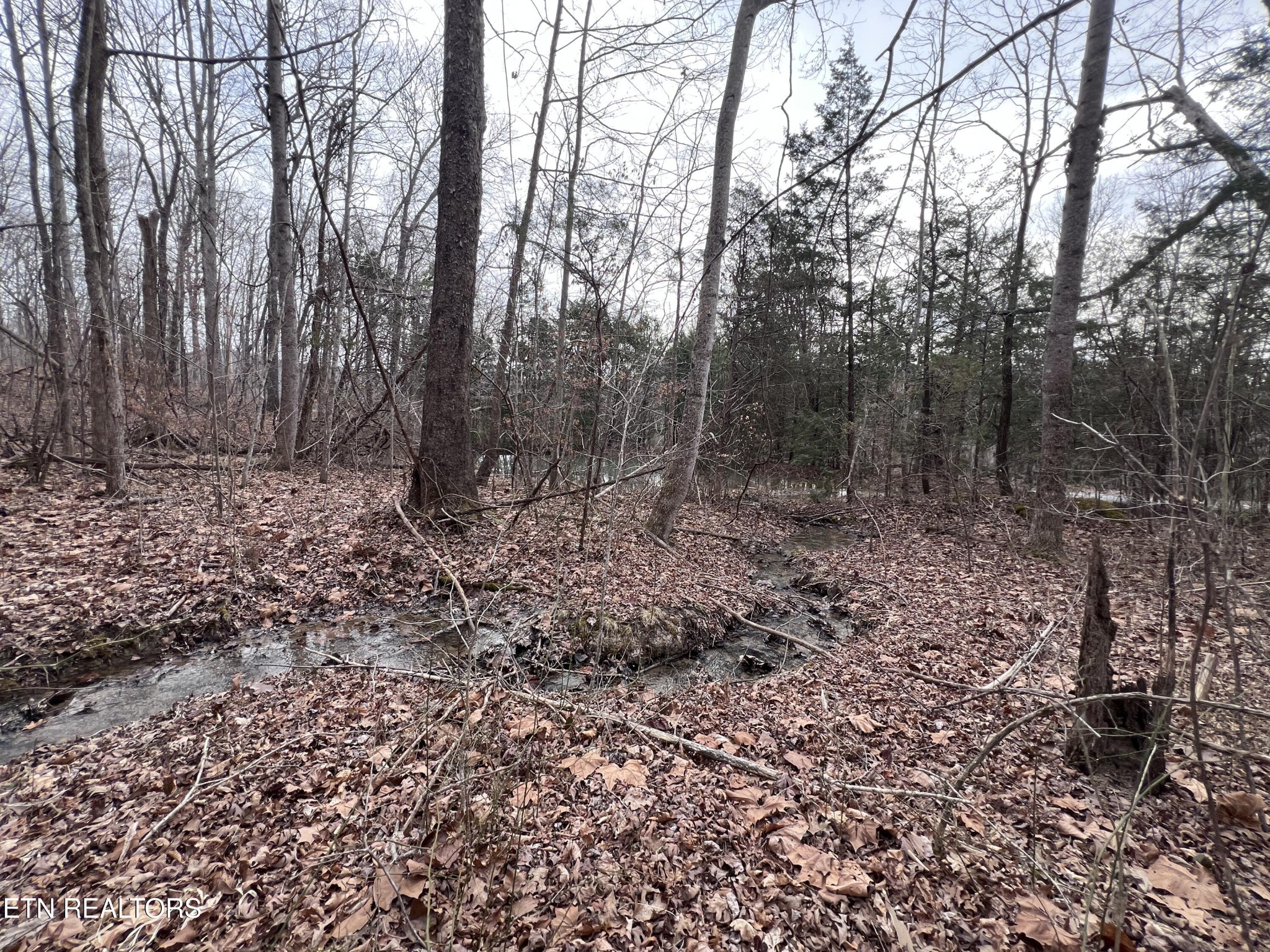 0 Buffalo Cove Lane Jamestown TN 38556