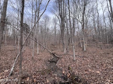 0 Buffalo Cove Lane Jamestown TN 38556