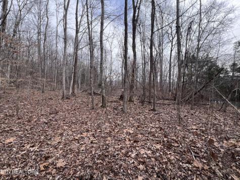 0 Buffalo Cove Lane Jamestown TN 38556