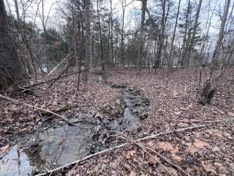 0 Buffalo Cove Lane Jamestown TN 38556