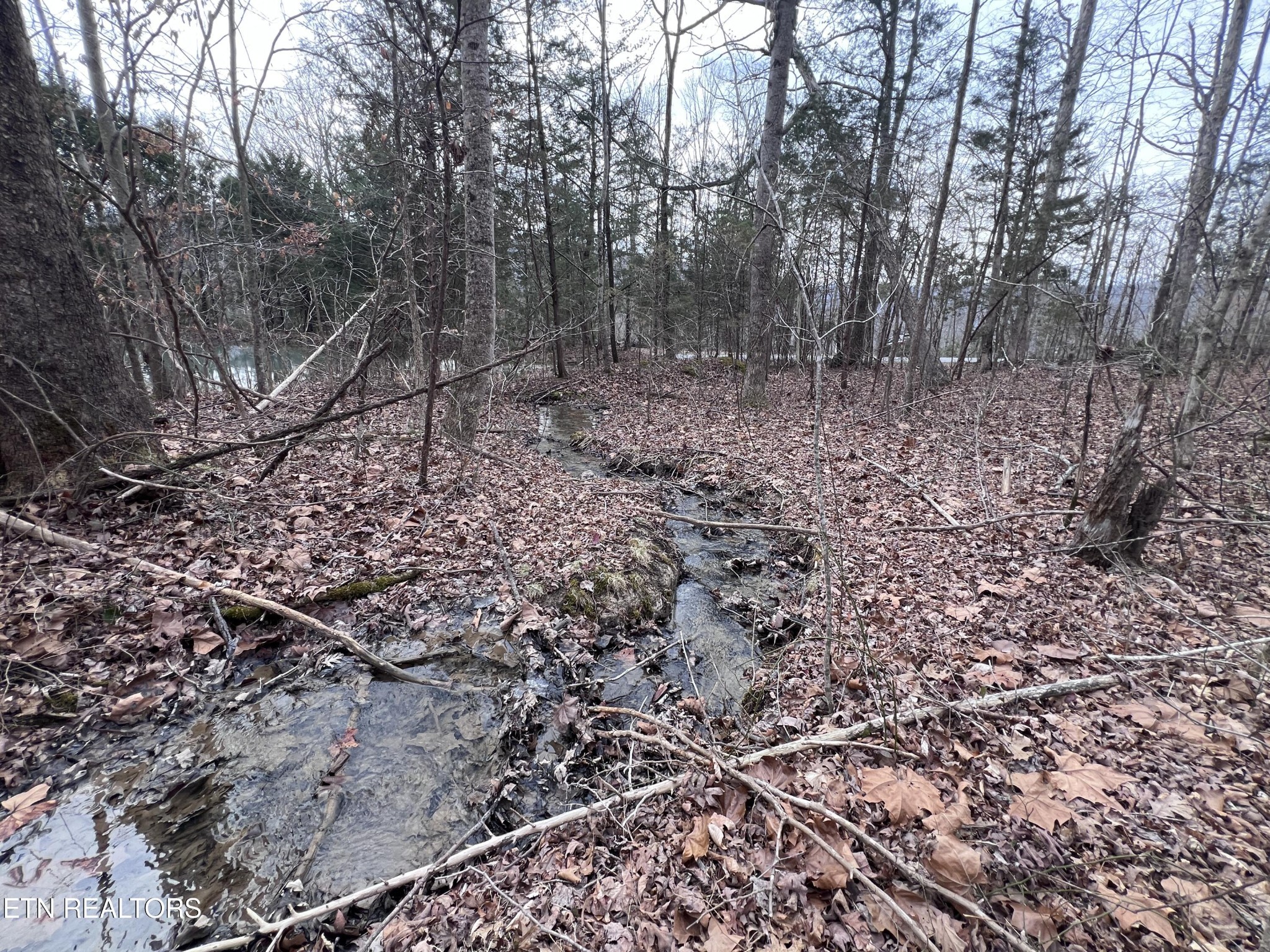 0 Buffalo Cove Lane Jamestown TN 38556
