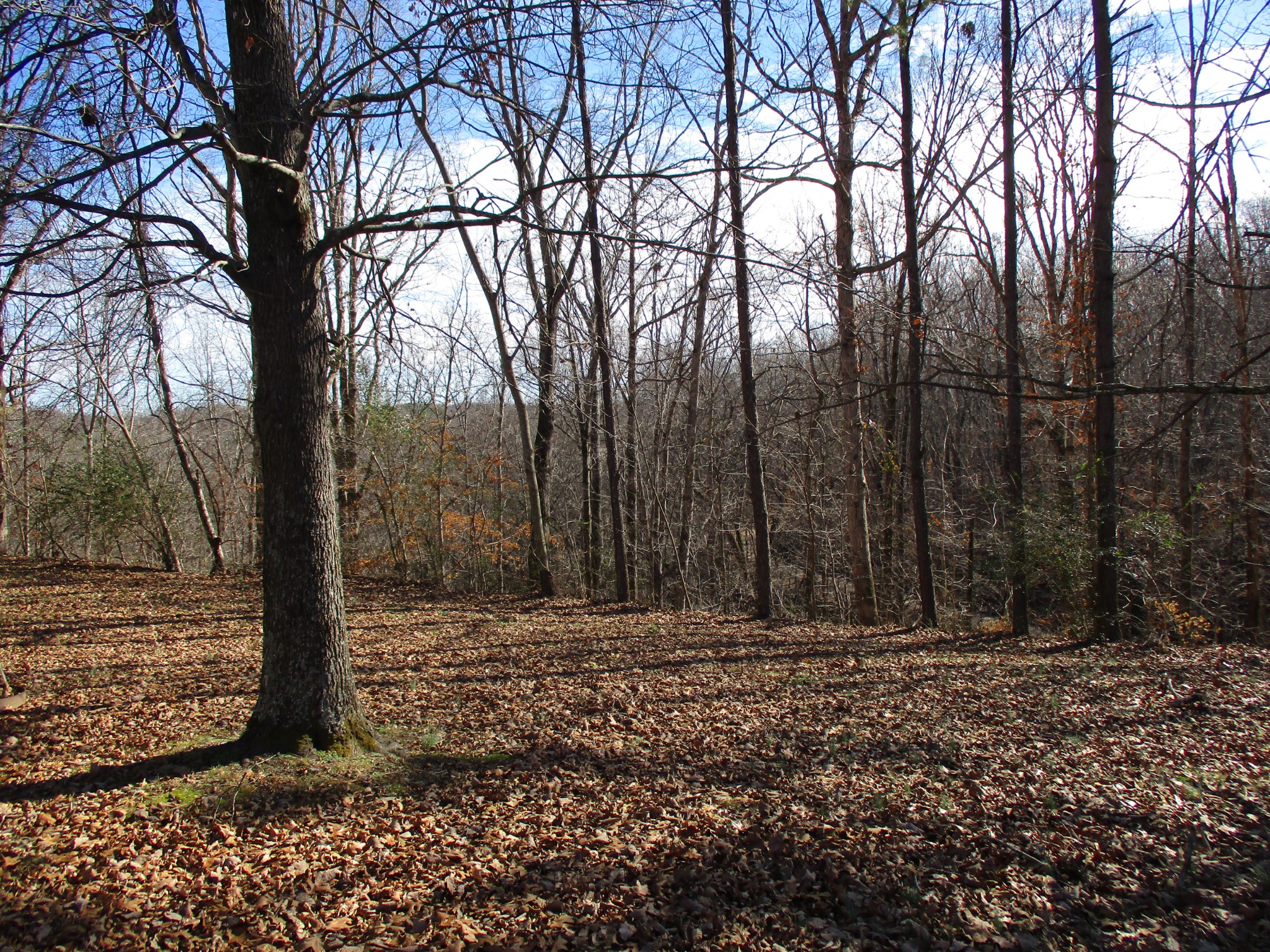 908 Bear Cub Run Centerville TN 37033
